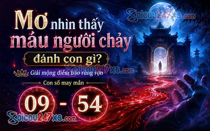 Mơ Nhìn thấy máu người chảy đánh con gì? Giải mộng điềm báo rùng rợn