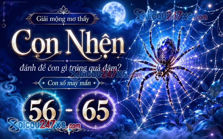 Giải mộng mơ thấy Con Nhện đánh đề con gì trúng quả đậm?