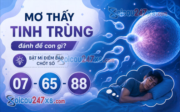 Mơ thấy tinh trùng đánh đề con gì? Bật mí điềm báo chốt số (07 - 65 - 88)