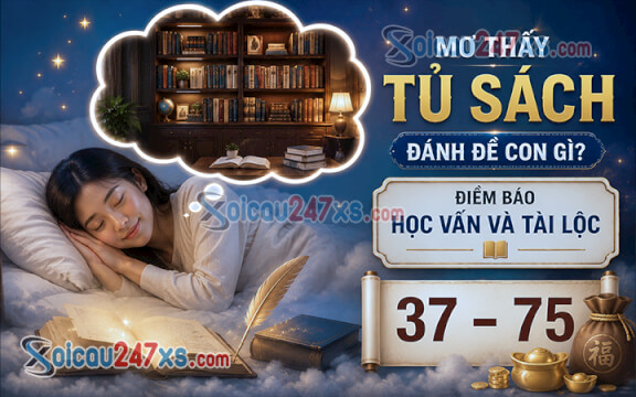 Mơ thấy tủ sách đánh đề con gì? Điềm báo học vấn và tài lộc (37-75)