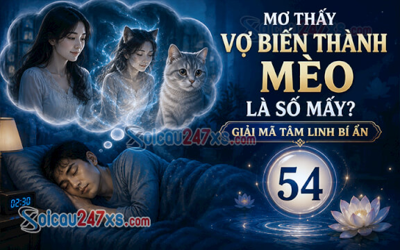 Mơ thấy Vợ biến thành mèo là số mấy? Giải mã tâm linh bí ẩn (54)