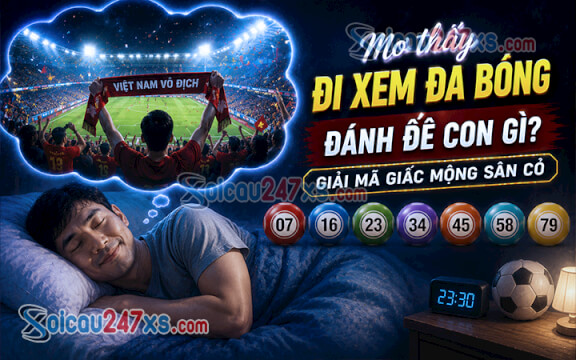 Mơ thấy đi xem đá bóng đánh đề con gì? Giải mã giấc mộng sân cỏ